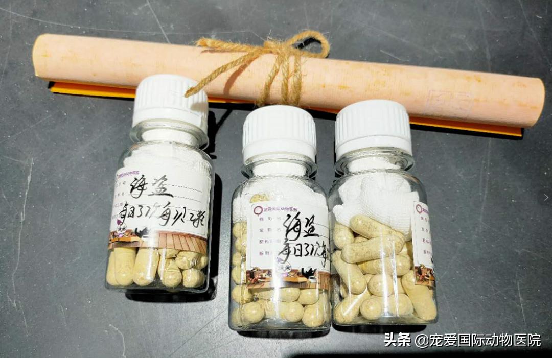 猫肥厚型心肌病的预防措施,猫肥厚型梗塞性心肌病