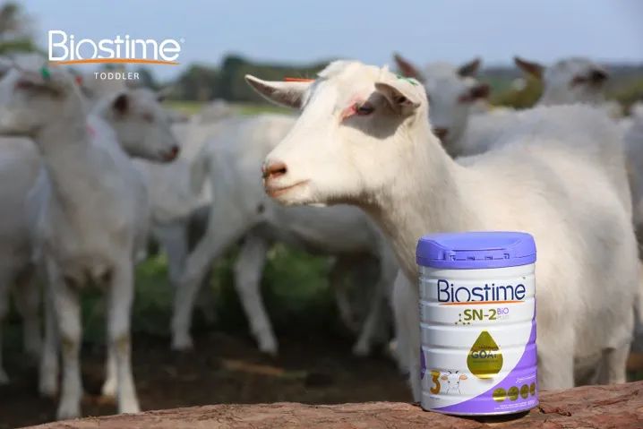 国外疫情严重进口奶粉能放心买吗,海外奶粉进口疫情政策最新