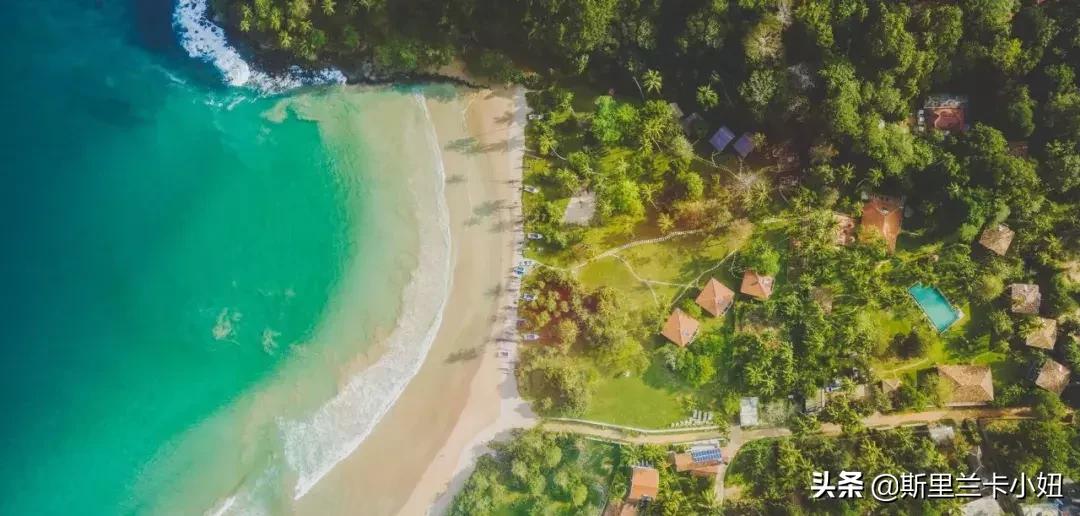 中国足球队和斯里兰卡比赛,斯里兰卡足球世预赛