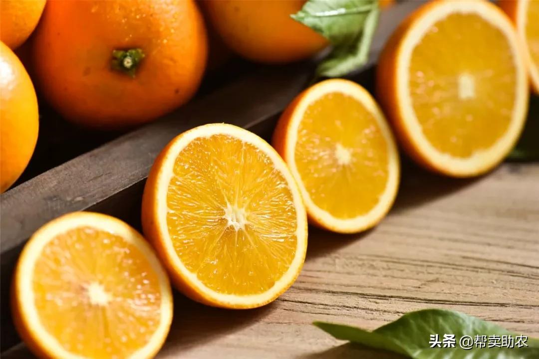 袁隆平摘冰糖橙,袁隆平到麻阳为冰糖橙提名
