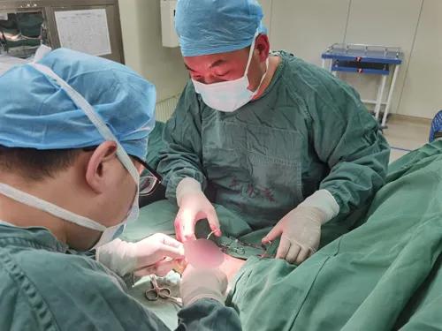 【医疗案例】内分泌肾内科独立成功开展首例自体动静脉内瘘成形术