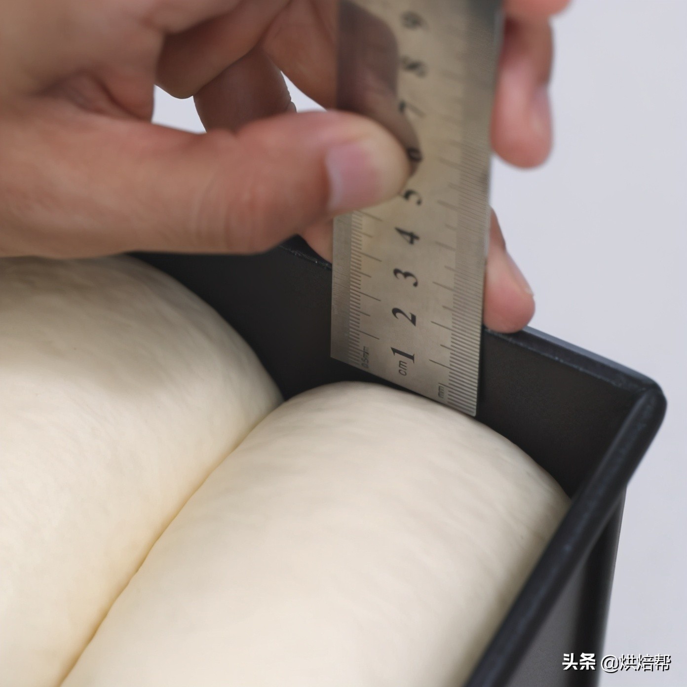 日本爆火吐司,日本生吐司中种