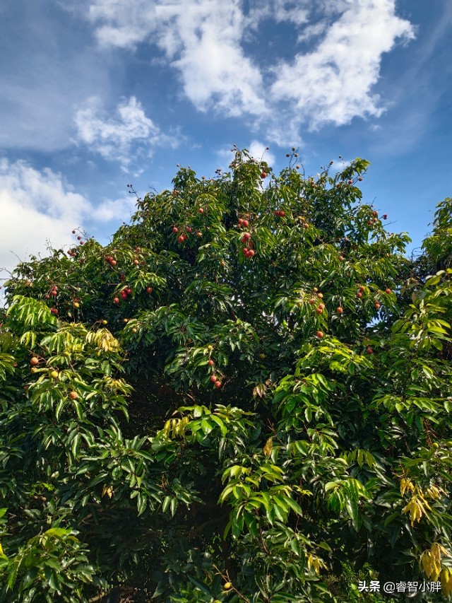车被小孩刮花了报警怎么处理,车被小孩恶意刮花怎么办