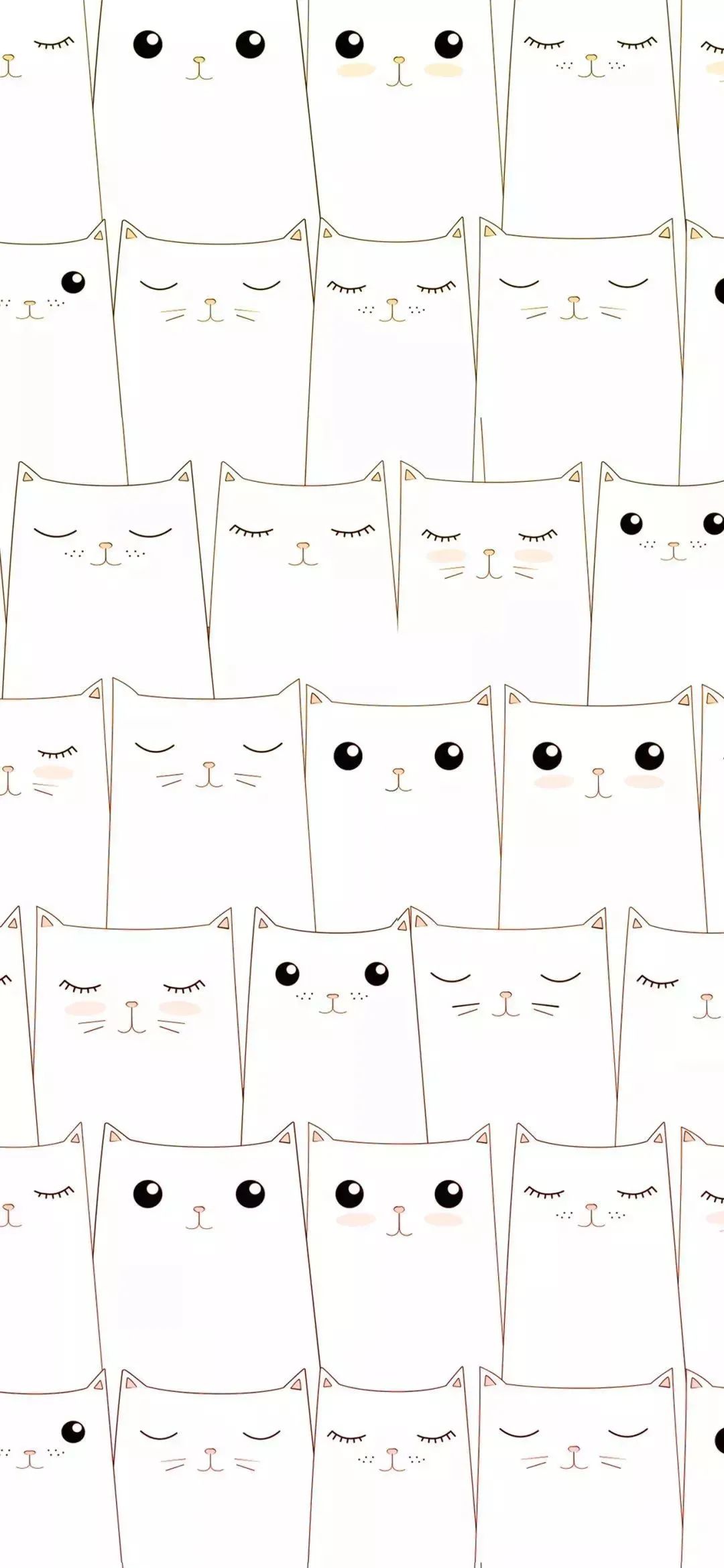 聊天背景图女生专用,更新朋友圈背景图会提示