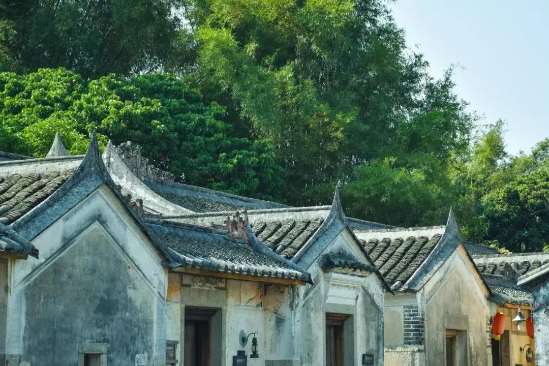 靠这64条玩转深圳！百万深圳人请收好！