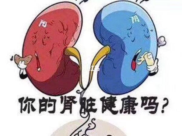 专家科普肾阳虚,肾阳虚现代医学诠释