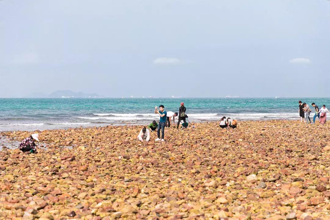 大鹏杨梅坑景区,杨梅坑旅游景点