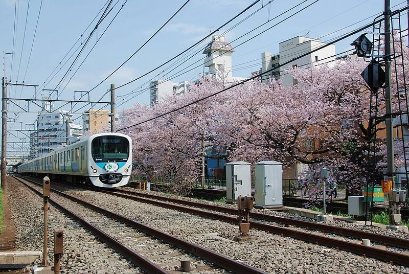 第一次去日本玩但不会日语,第一次去日本旅游关注什么