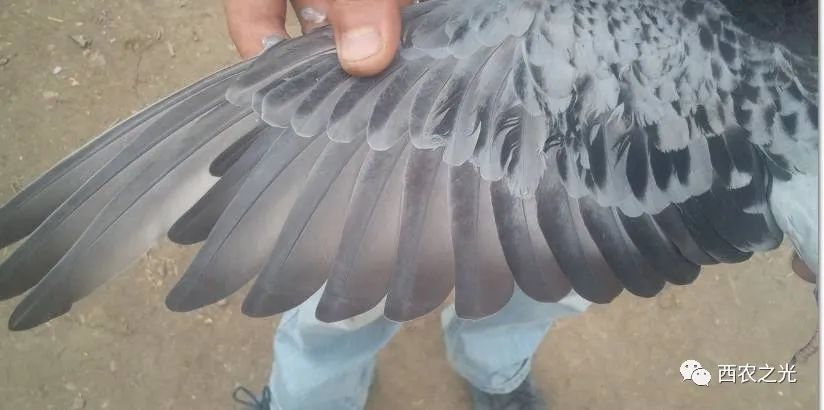 看这里，安全度过“黑三月”