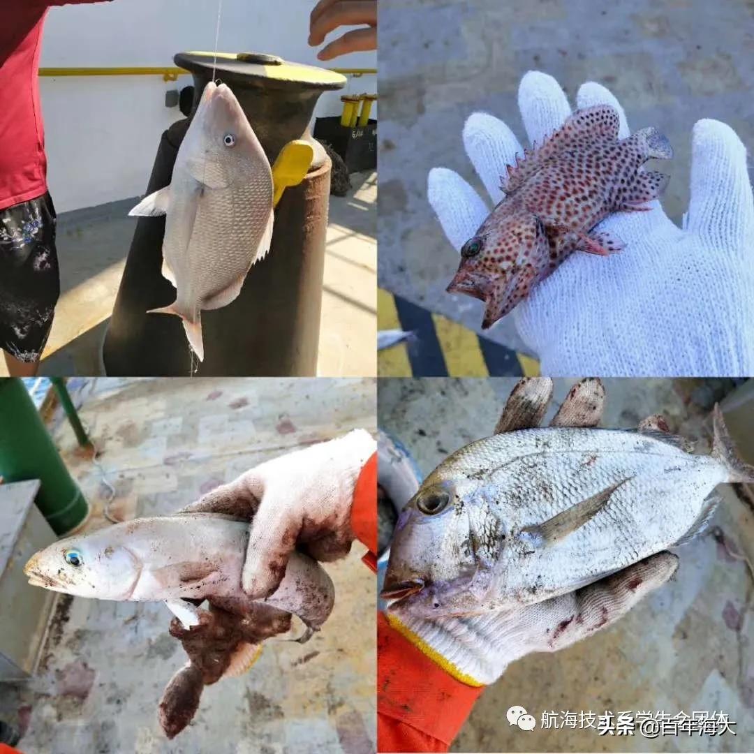 这个小妮不简单,乡下丫头不简单