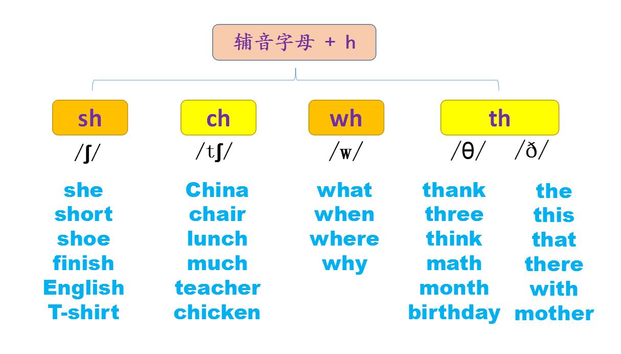 英语小学生快速记单词发音的方法,初一英语怎样记单词又快又准