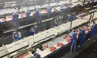 进口食品的流程和关注事项,进口食品需要关注哪些