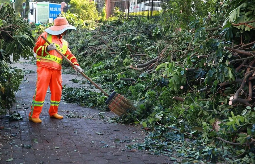 悦赏|这个展览，罗湖人不去看真的会后悔！