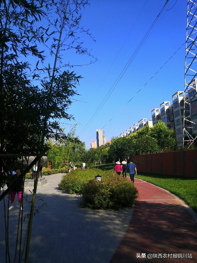 朱百强是谁,朱百强散文