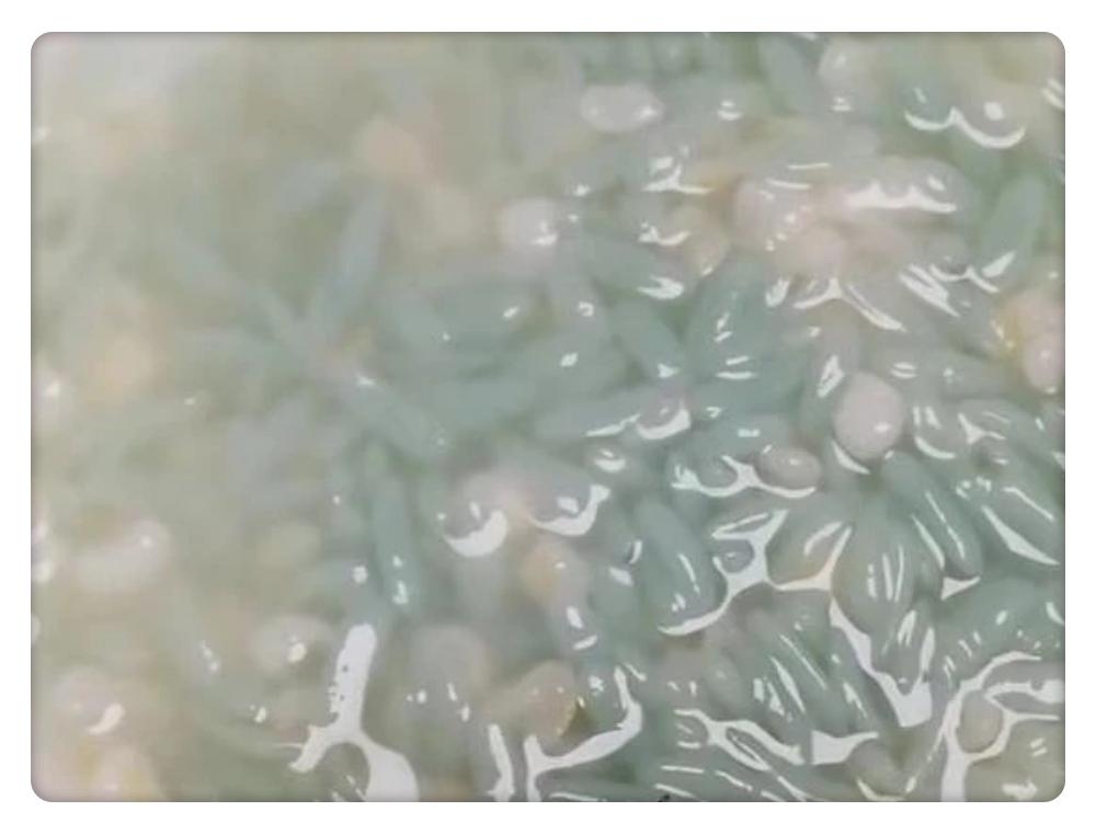 超市的绿色米是什么,超市里卖的绿色的米是什么