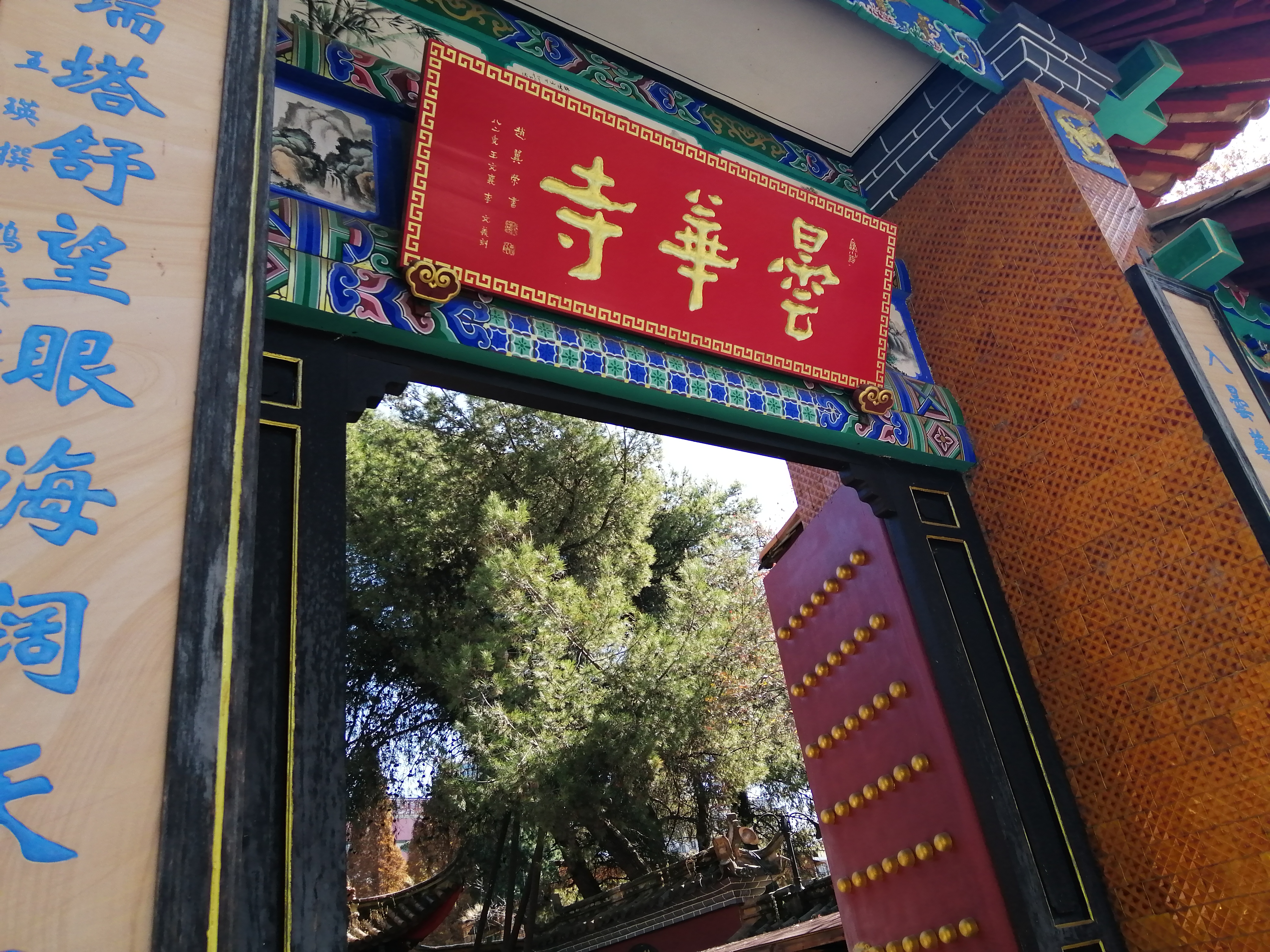 除了鲜花，昆明别样的“优昙婆罗花”神秘之旅，徐霞客曾慕名走过