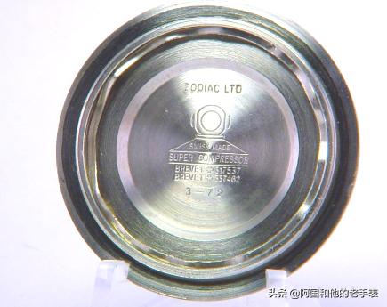 50年后的相见两只西铁城水鬼