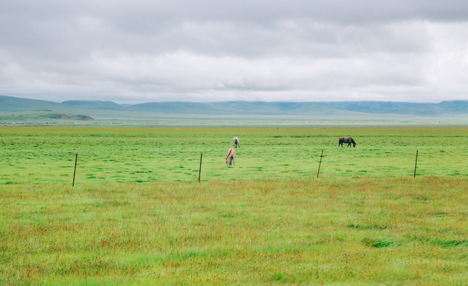 若尔盖5日游推荐,成都九寨沟黄龙若尔盖深度游