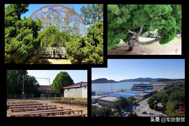 日俄战争旅顺大战哪年,日俄战争是在旅顺打的吗