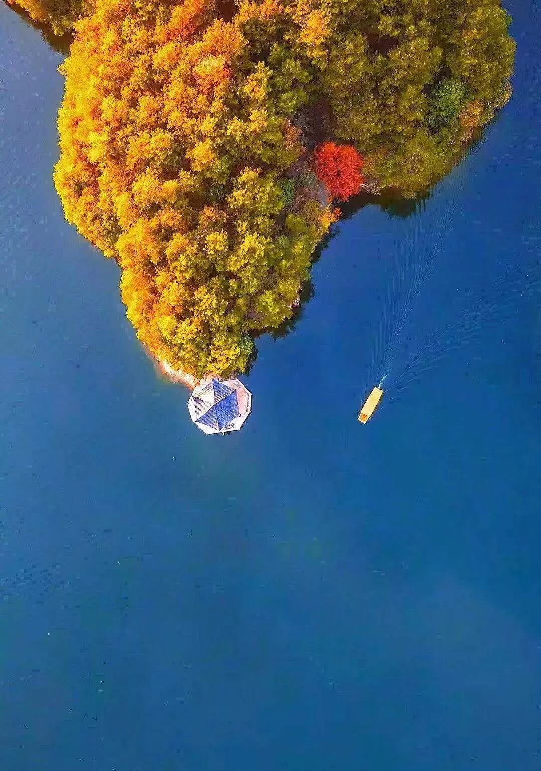 清凉寨丨“枫”景尚好，年会火热预定中！