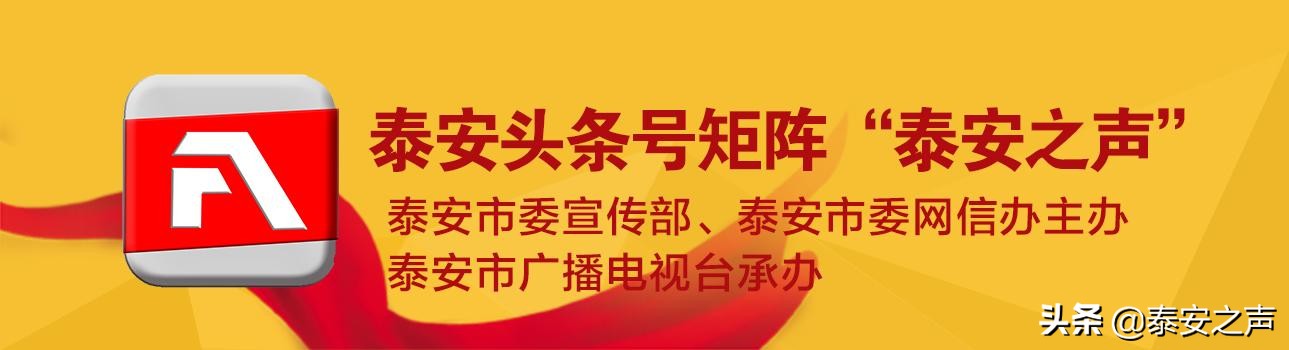 泰山百合和园简介,泰山百合和园