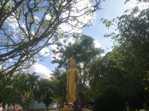 乳胶枕怎么才能买到真的,买乳胶枕常见问题