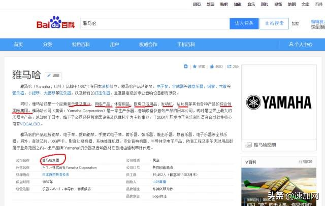 公司不按套路出牌,全网最不按套路出牌
