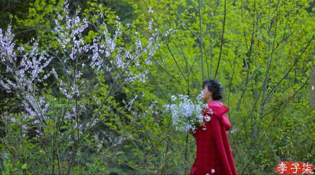 李子柒火了的视频,李子柒现身网红节却暴露真实颜值