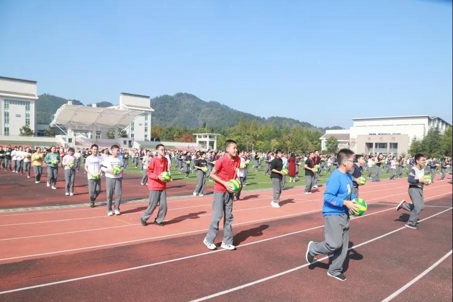临安这两所学校被评为体育特色学校