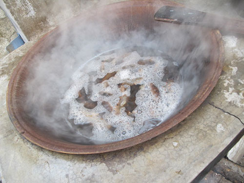 买海参的十大关注事项 (买海参的基本知识)