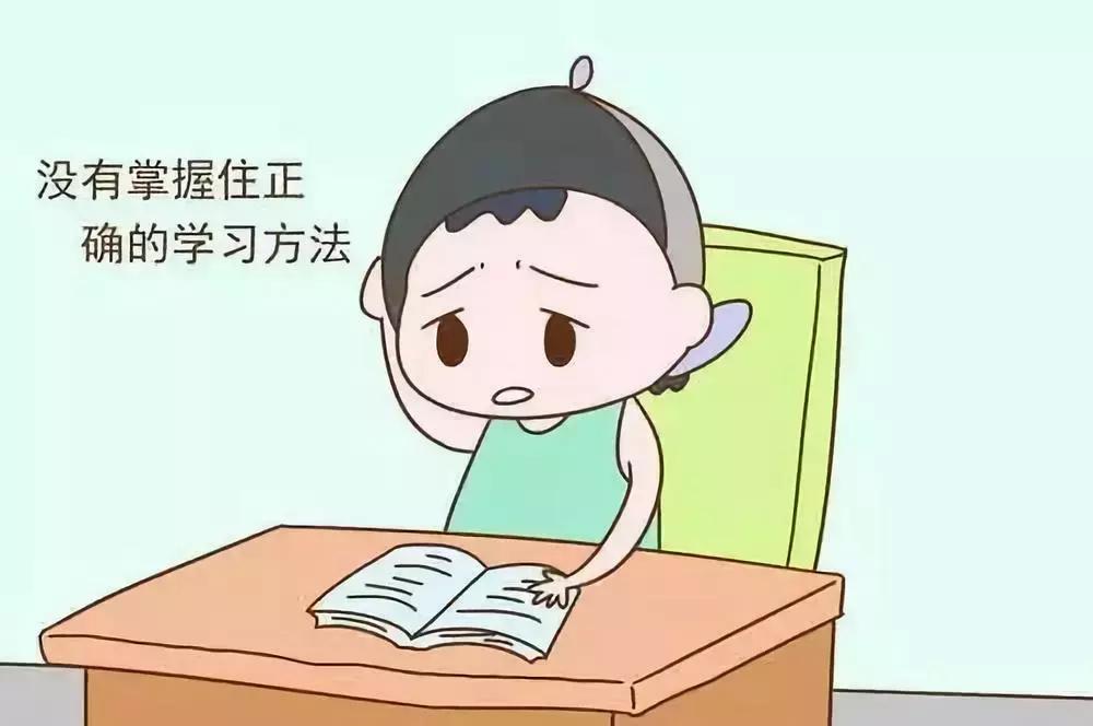 如果孩子偏科怎么办,孩子如果偏科怎么办
