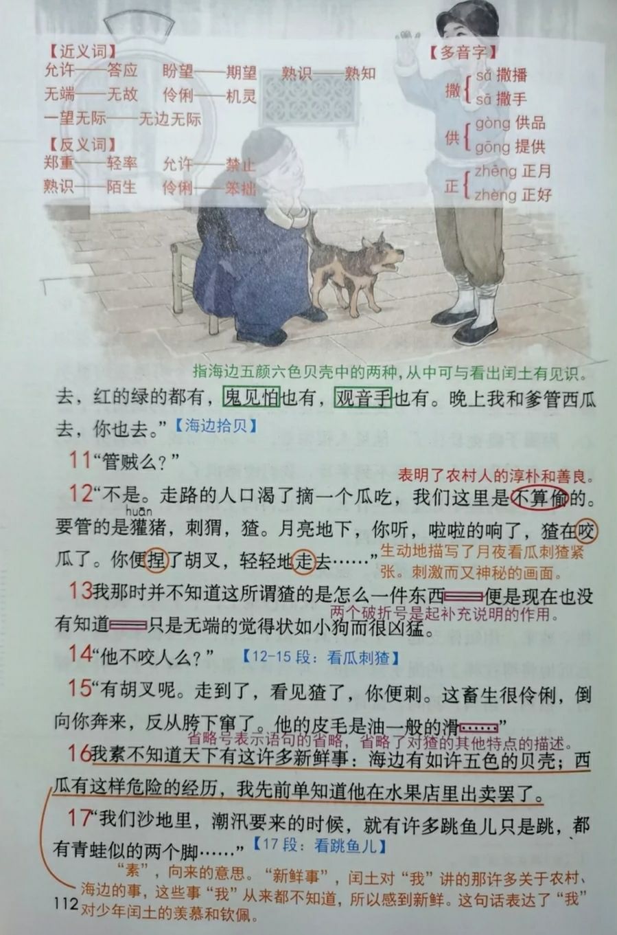 六年级语文上册二十四课《少年闰土》课文笔记，孩子预习的好帮手