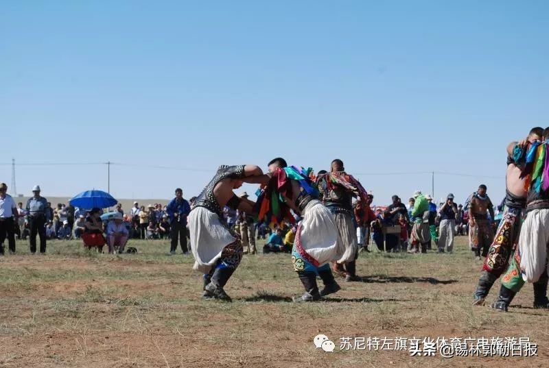 来苏尼特草原，看蒙古搏克超级联赛