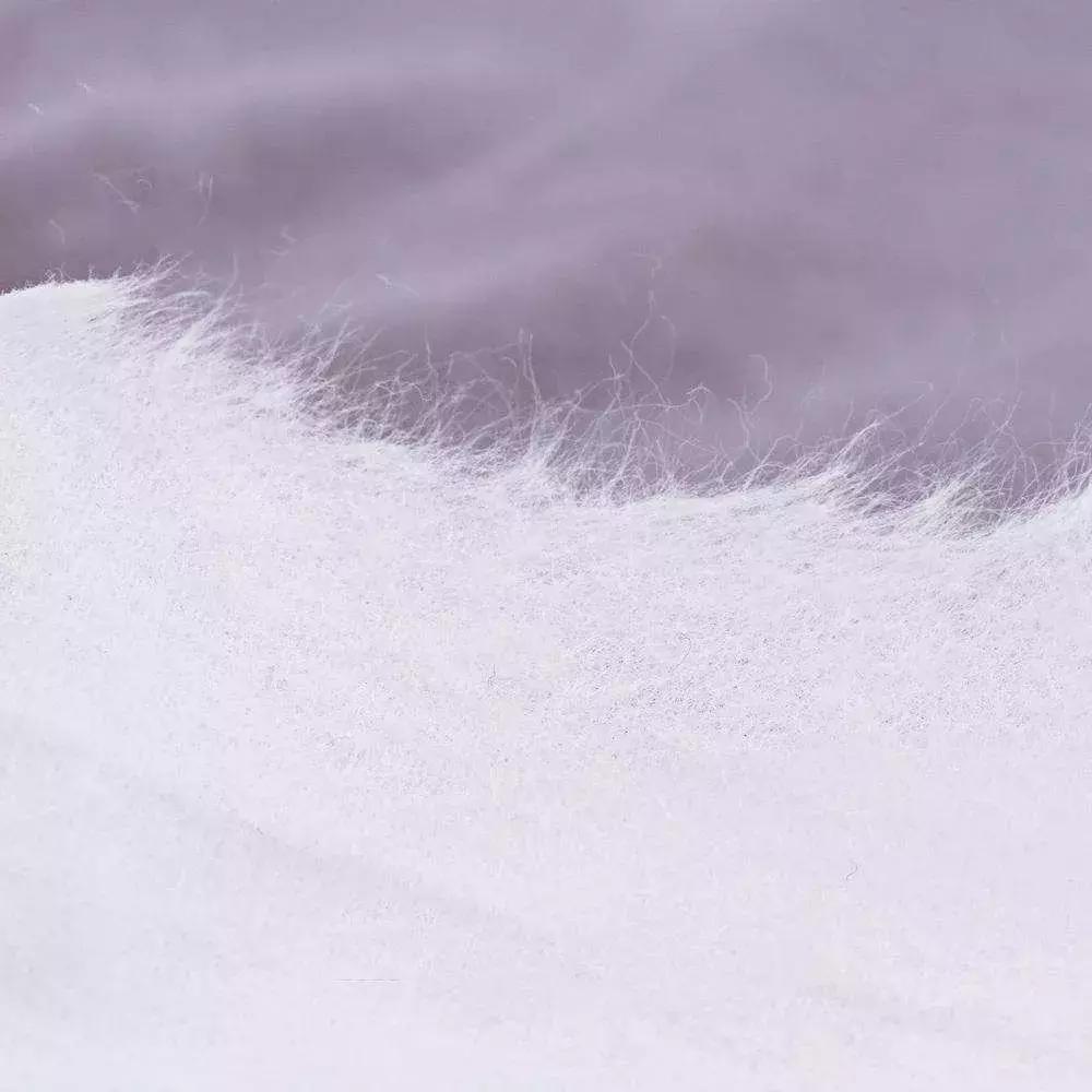 比特仑苏还纯的分享：那些治愈了生活，让幸福感爆棚的好物