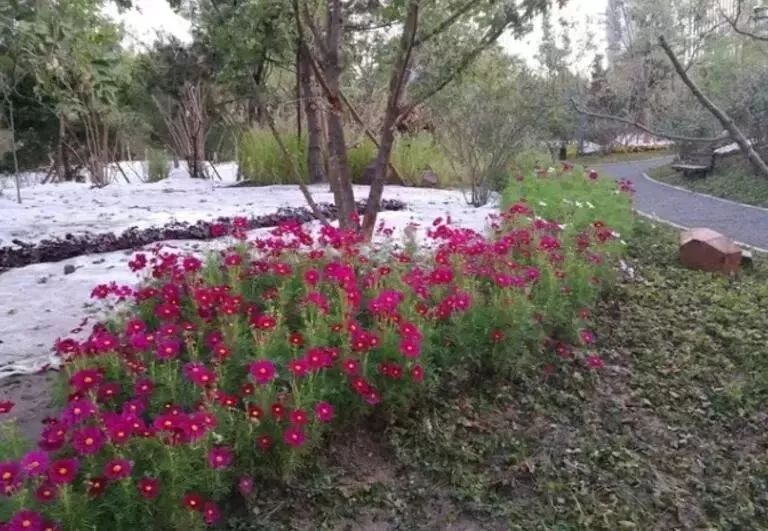 北京东五环新建公园大全,北京新开40个公园详细位置公布