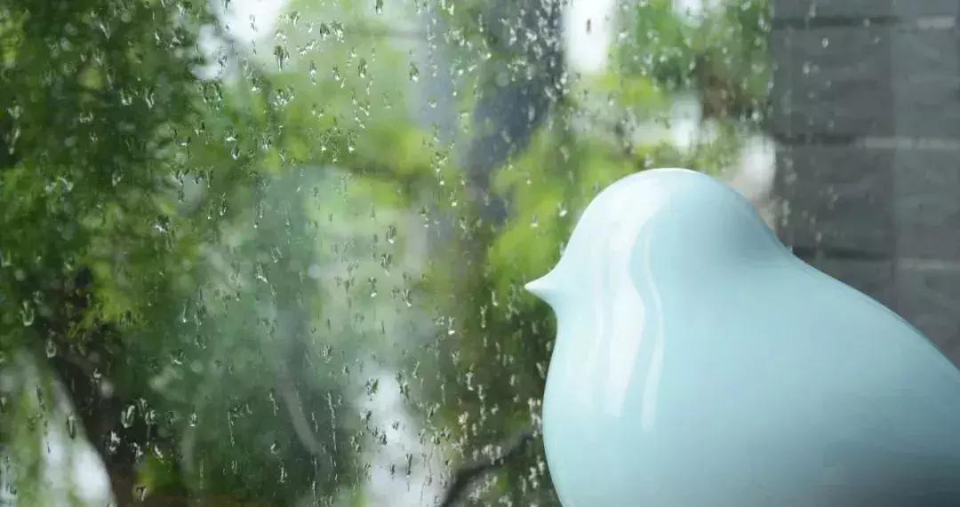 梅雨季这些事要关注！一不谨慎就轮到你了