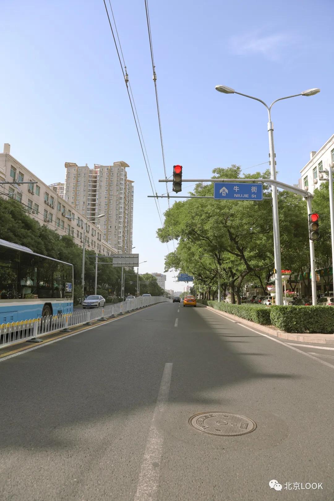 这就是牛完整视频,北京市牛街