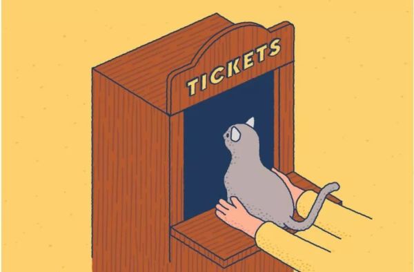 袋鼠有二个子宫,袋鼠有三个育儿袋