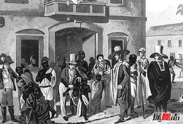 了解巴西简介,了解一下巴西的原始森林