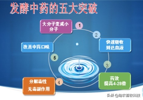 以高浓度乳酸菌为主的饲料发酵剂才能发酵出质量更好的发酵饲料