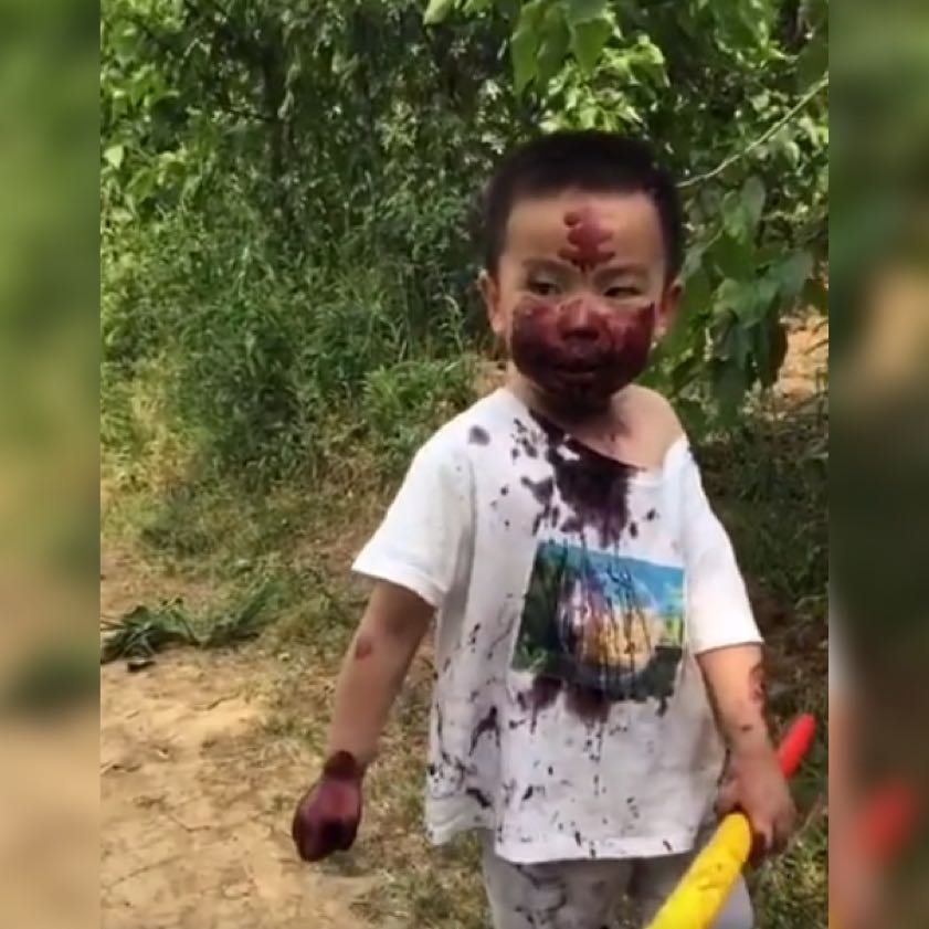 桑葚面膜,萌娃摘桑葚的视频