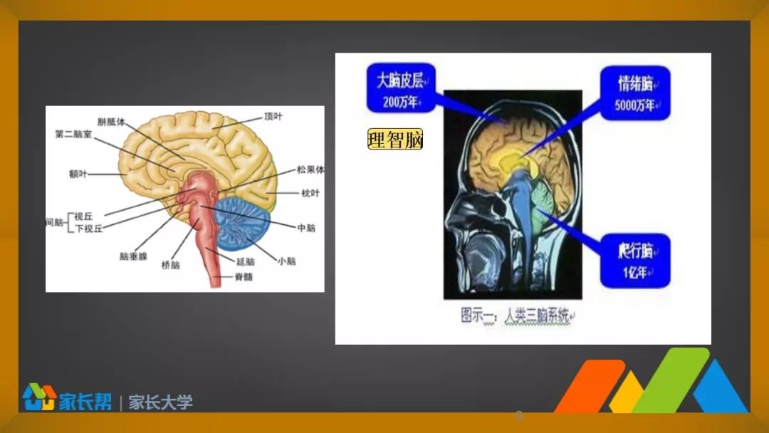 如何教导孩子学会管理情绪,不做大吼大叫的妈妈完整版