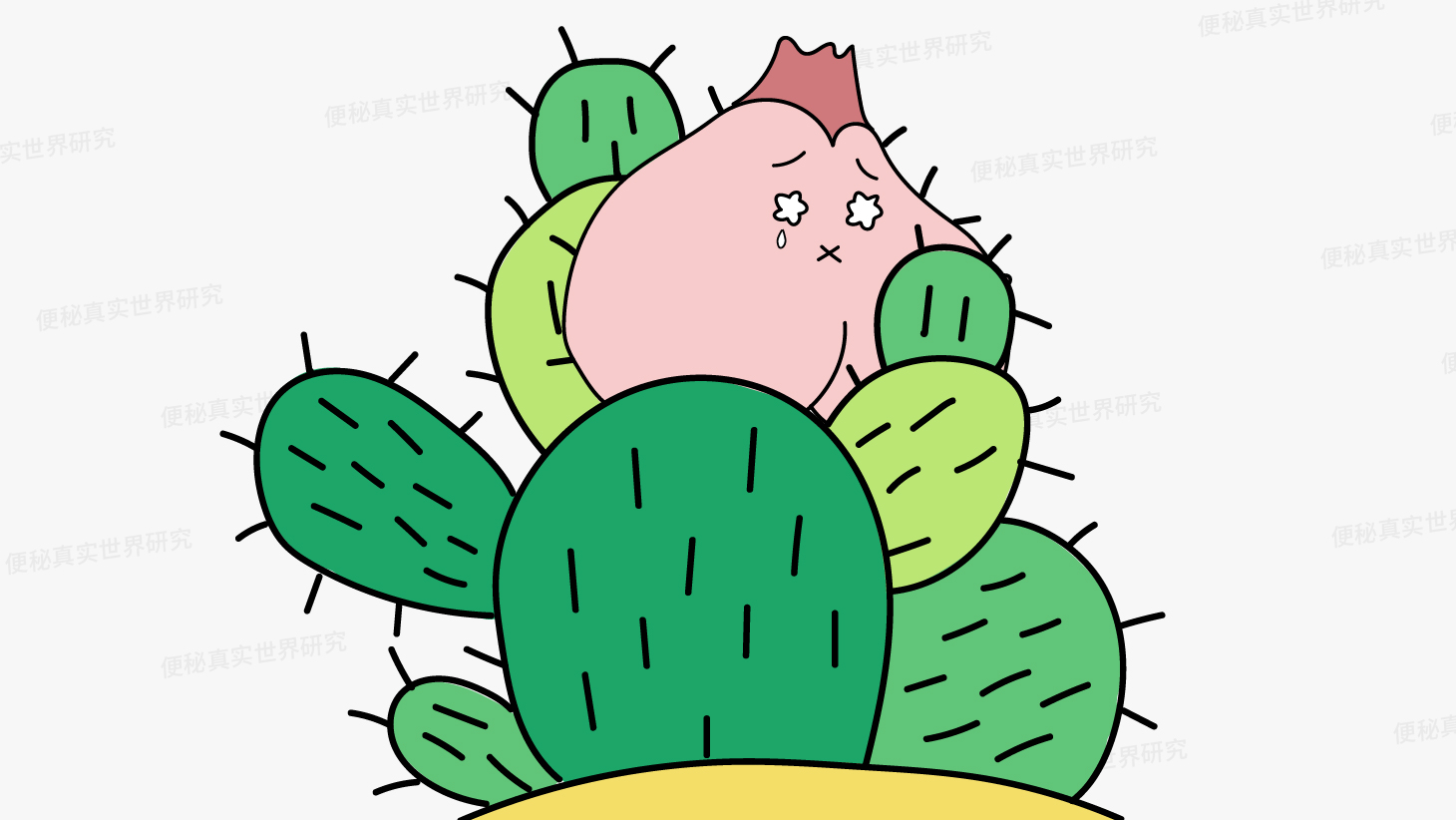 菊花痛的几个等级，反映出6种不同的肛门疾病