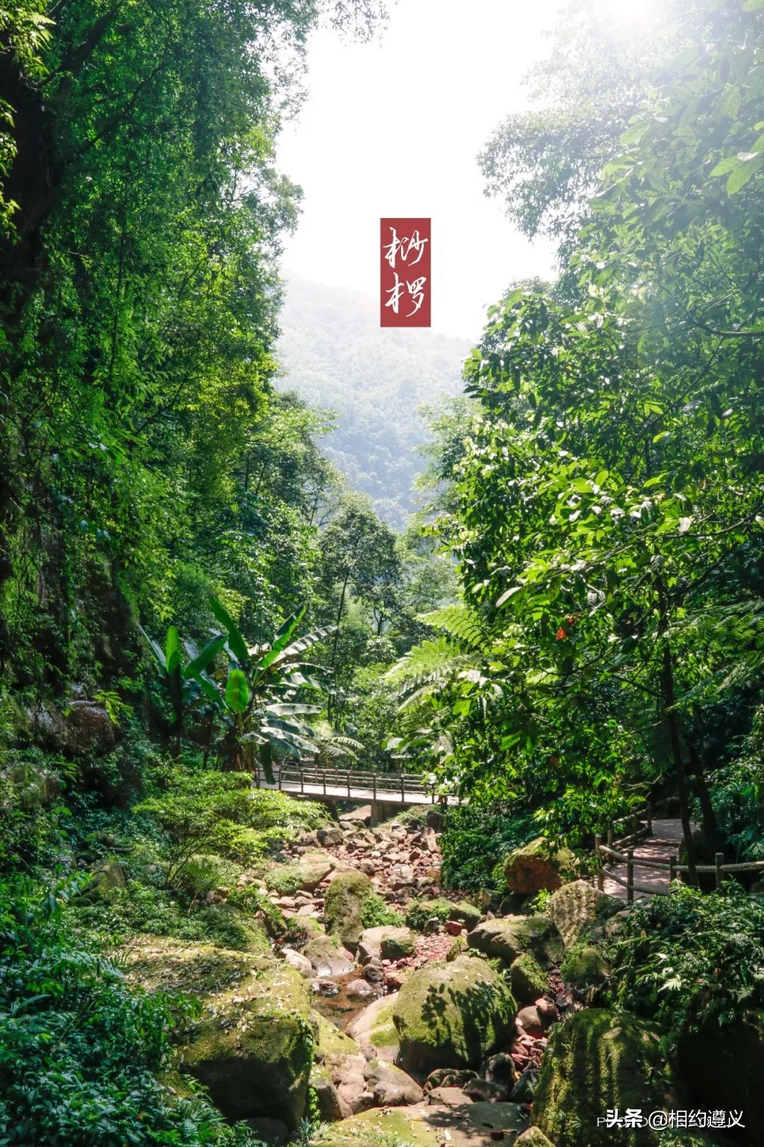 赤水大瀑布 侏罗纪公园 (贵州赤水侏罗纪公园攻略)