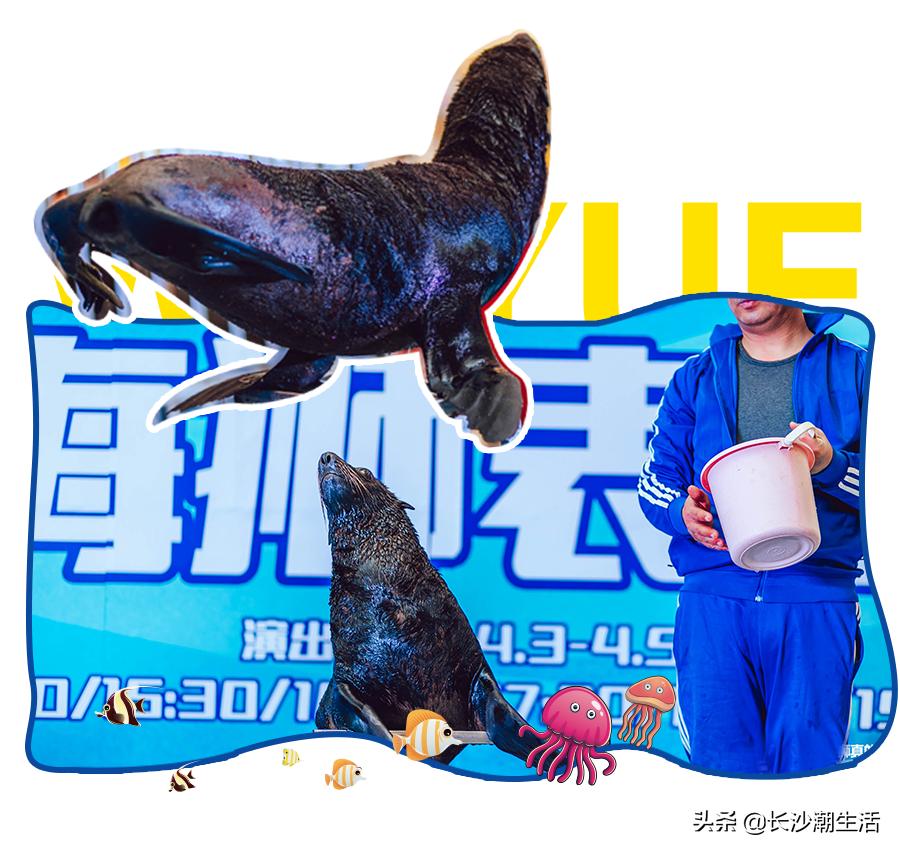 宁乡吾悦海洋节,吾悦广场嘉年华海底世界