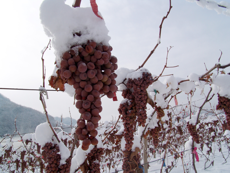 一张图卖出天价,一张图片卖出天价