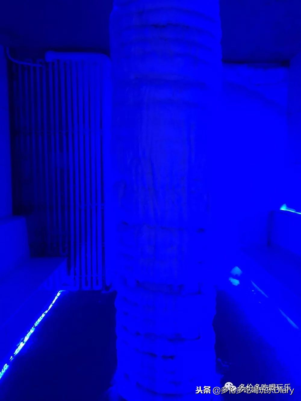 纽约旅游美食指南攻略大全,纽约美食攻略最划算的