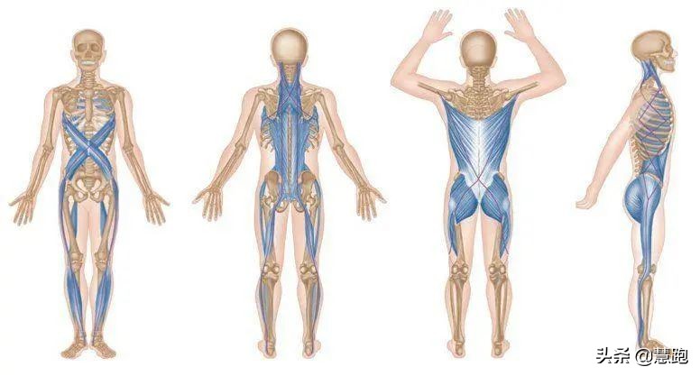 提高身体柔韧度的训练跑步,拉伸柔软度训练方法