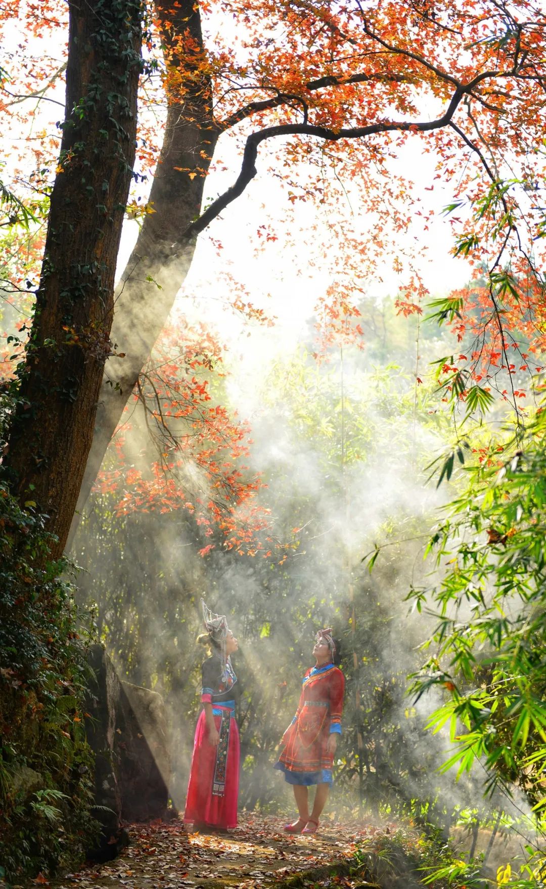 温州风景优美的古村古镇,温州世外桃源古村