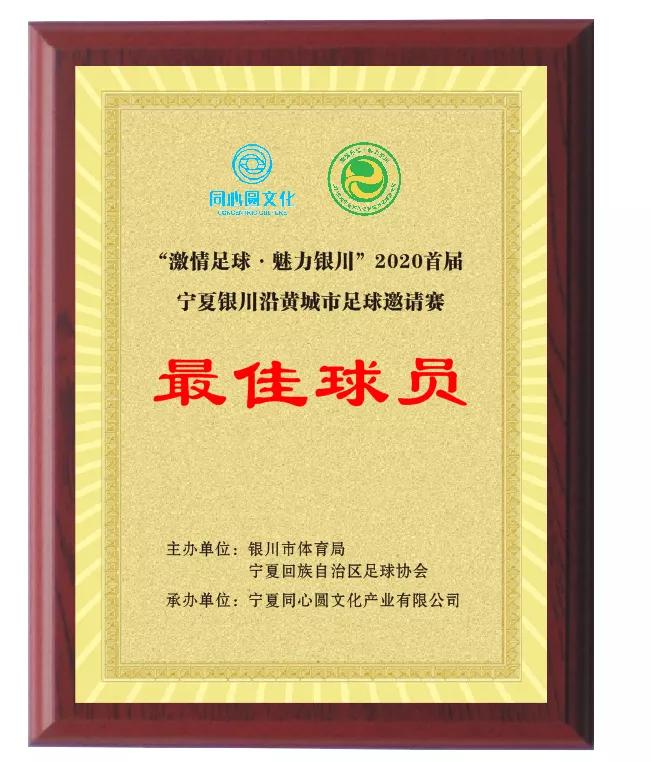 宁夏银川沿黄杯足球,银川足球锦标赛